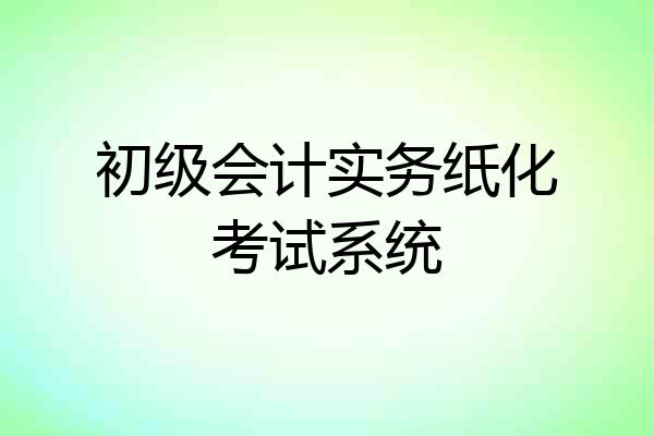 初级会计实务纸化考试系统
