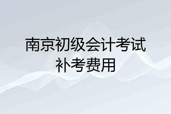 南京初级会计考试补考费用