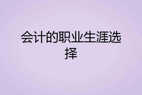 会计的职业生涯选择