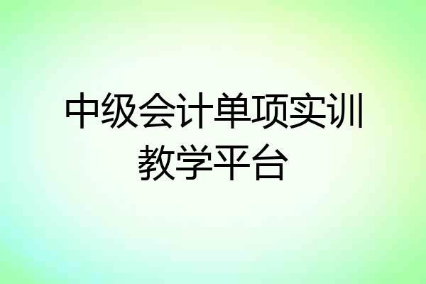 中级会计单项实训教学平台