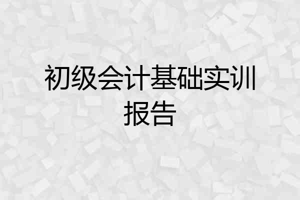 初级会计基础实训报告