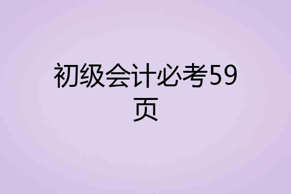 初级会计必考59页