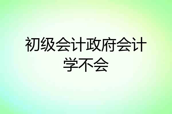 初级会计政府会计学不会