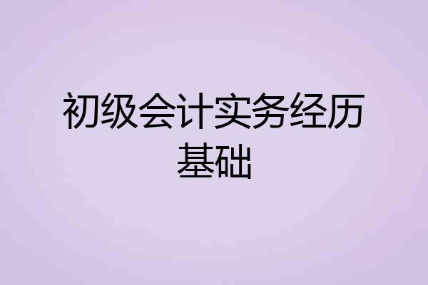 初级会计实务经历基础