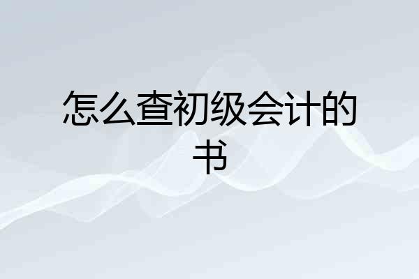 怎么查初级会计的书