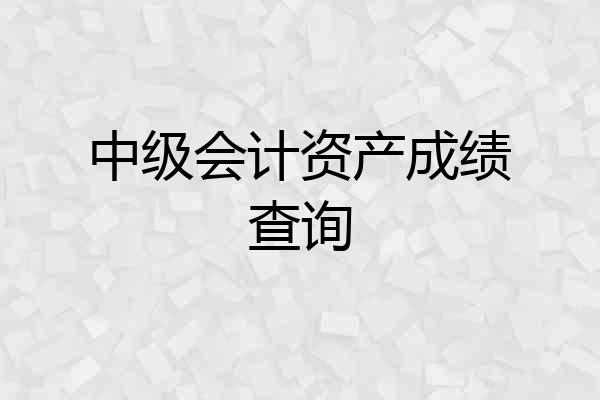 中级会计资产成绩查询
