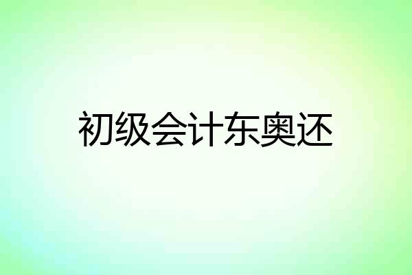 初级会计东奥还