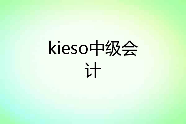 kieso中级会计