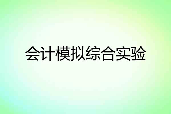会计模拟综合实验