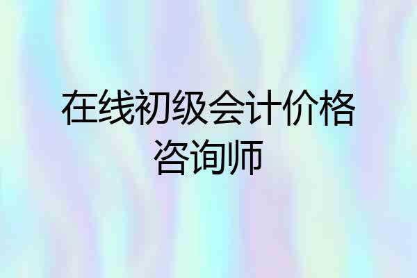 在线初级会计价格咨询师