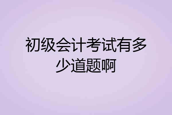 初级会计考试有多少道题啊