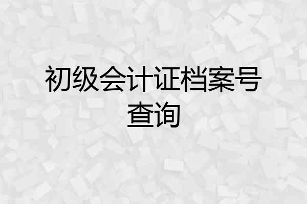 初级会计证档案号查询