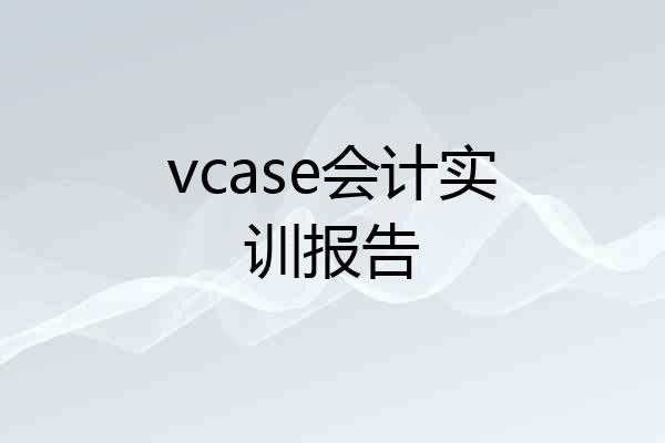 vcase会计实训报告
