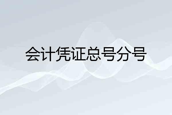 会计凭证总号分号
