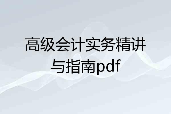 高级会计实务精讲与指南pdf
