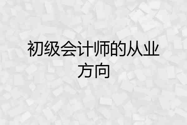 初级会计师的从业方向