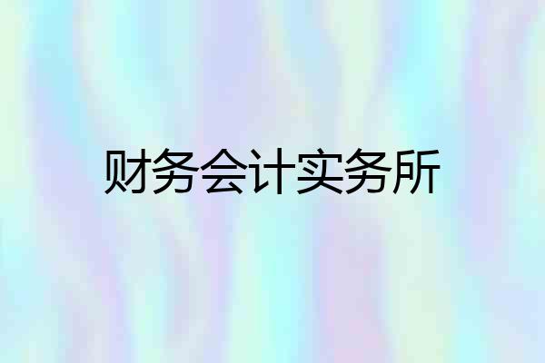 财务会计实务所