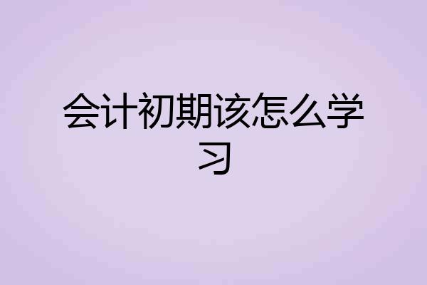 会计初期该怎么学习