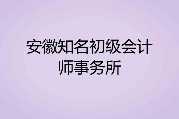 安徽知名初级会计师事务所