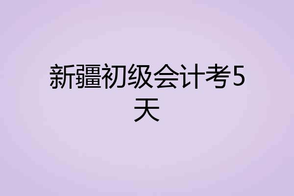 新疆初级会计考5天