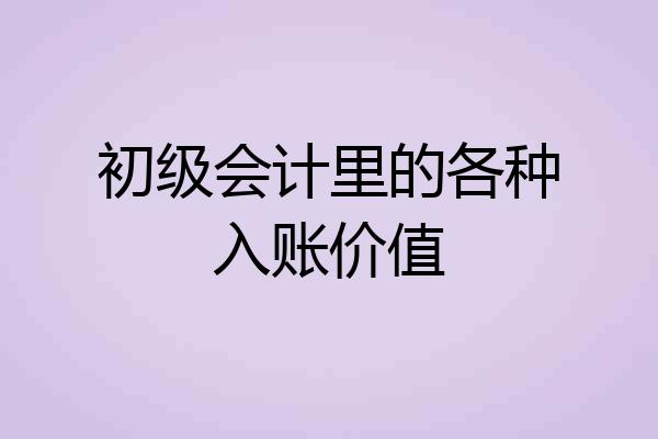 初级会计里的各种入账价值
