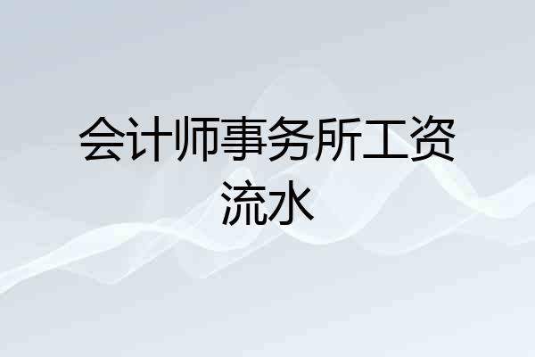 会计师事务所工资流水