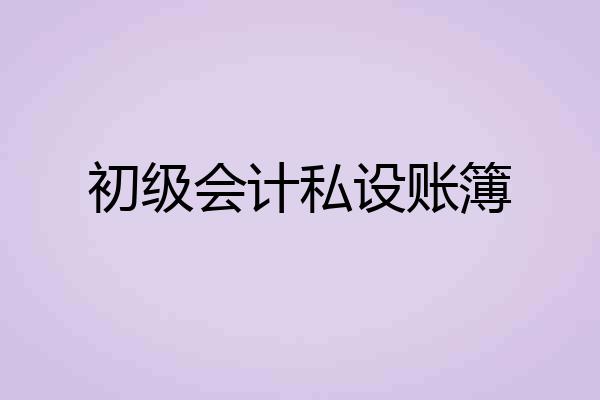 初级会计私设账簿