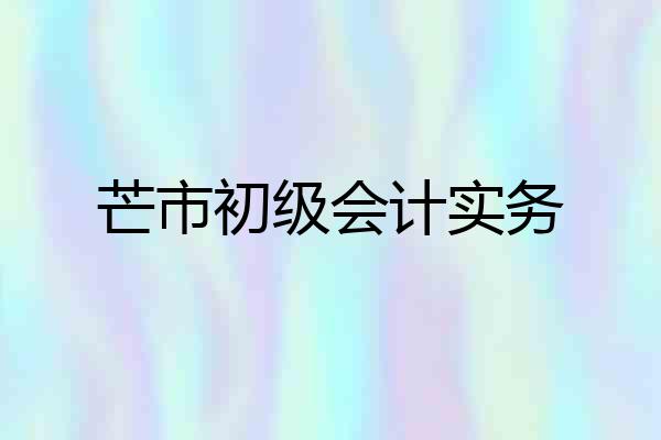 芒市初级会计实务