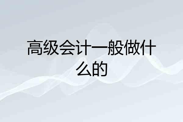 高级会计一般做什么的
