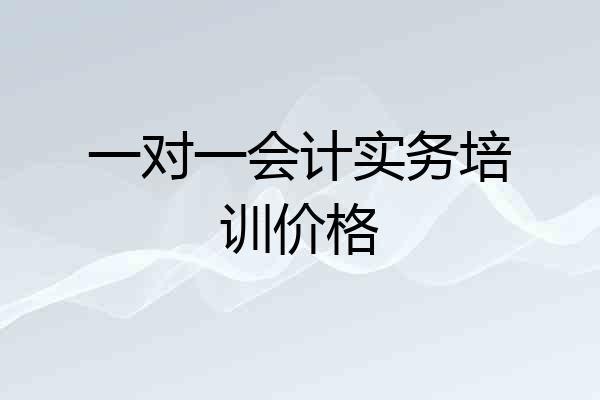 一对一会计实务培训价格