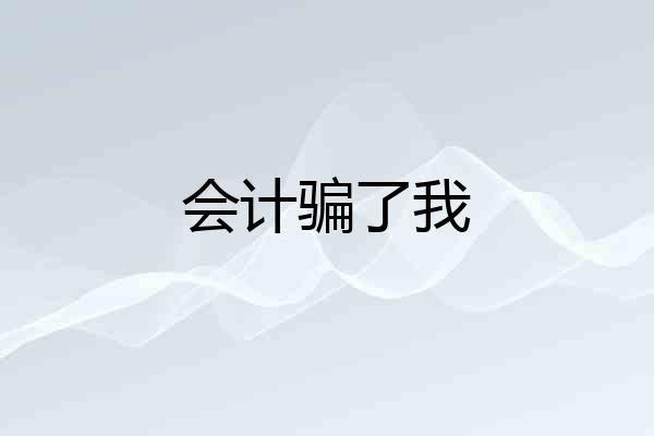会计骗了我
