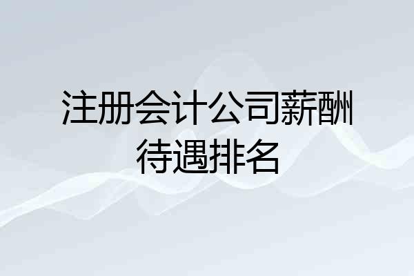 注册会计公司薪酬待遇排名