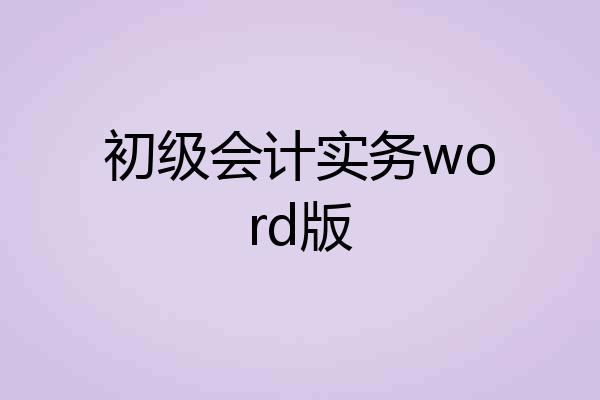 初级会计实务word版
