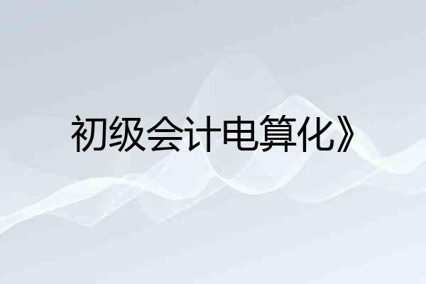 初级会计电算化》