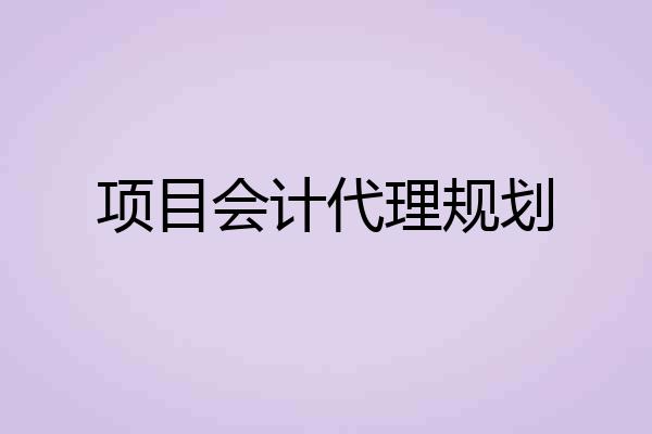 项目会计代理规划