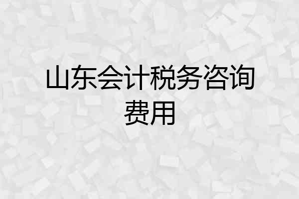 山东会计税务咨询费用