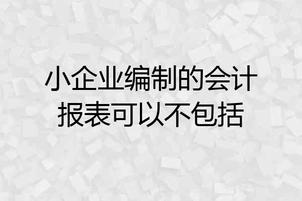 小企业编制的会计报表可以不包括