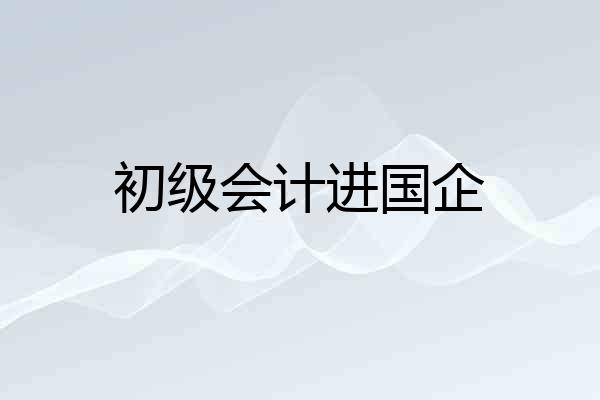 初级会计进国企