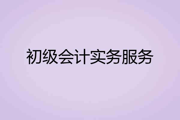 初级会计实务服务