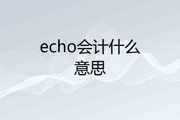 echo会计什么意思