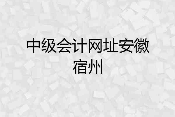 中级会计网址安徽宿州