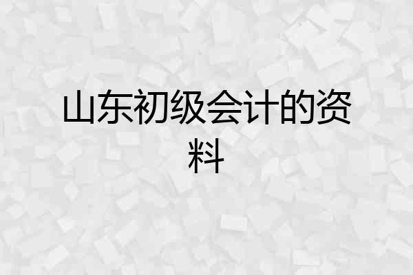 山东初级会计的资料