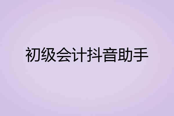 初级会计抖音助手