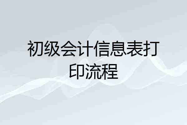 初级会计信息表打印流程