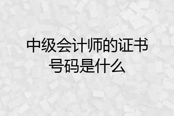中级会计师的证书号码是什么