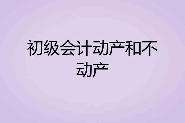 初级会计动产和不动产