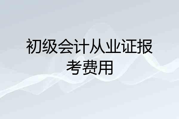 初级会计从业证报考费用