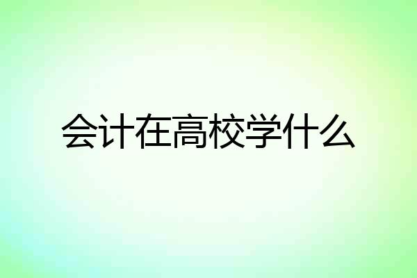会计在高校学什么