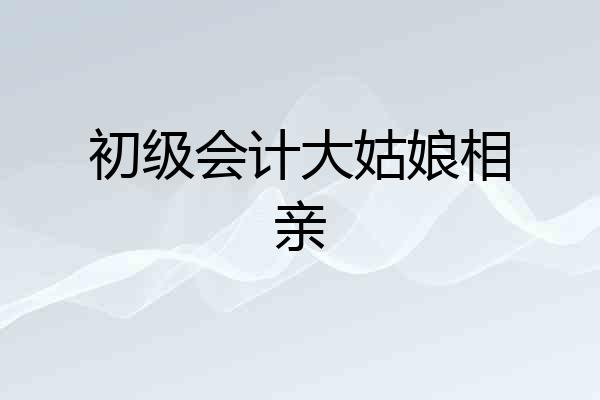 初级会计大姑娘相亲