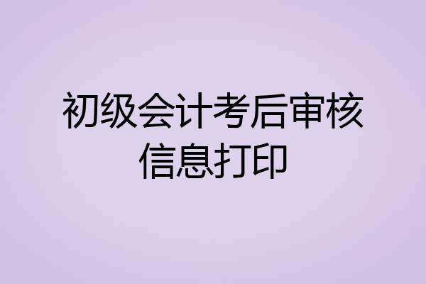 初级会计考后审核信息打印